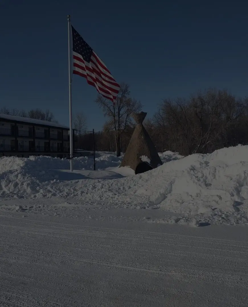 Winter scene with flag and snow